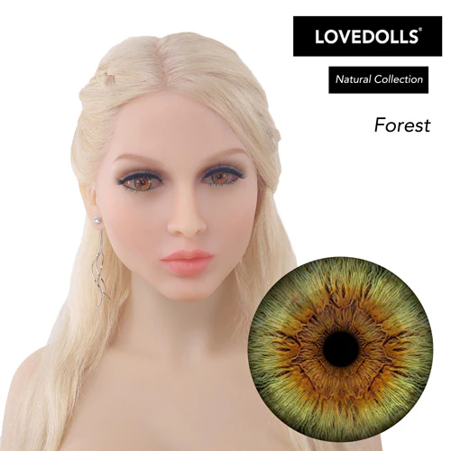 Forest - Image 3