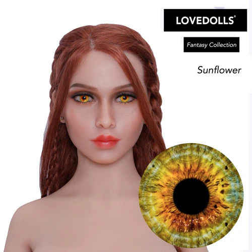 Sunflower - Image 5